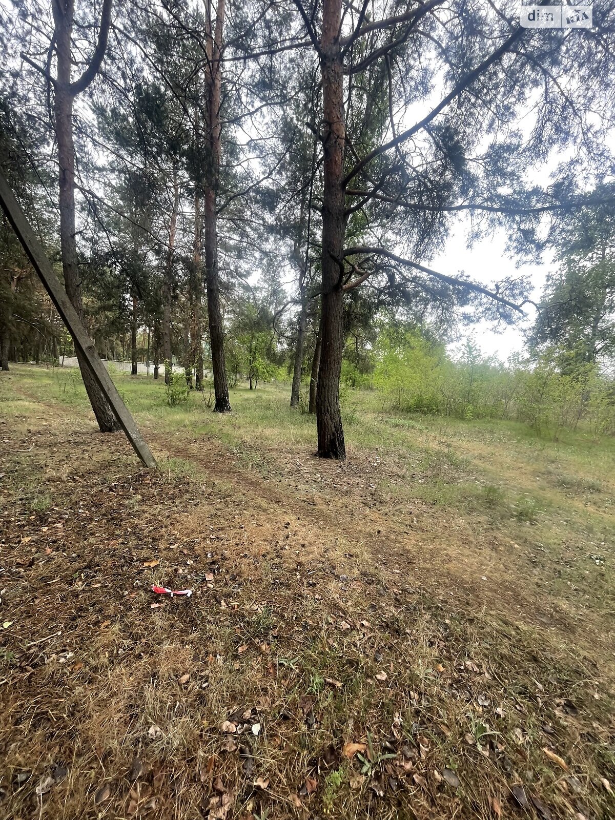 Земельный участок под жилую застройку в Солоницевке, площадь 15 соток фото 1 Земельный участок под жилую застройку в Солоницевке, площадь 15 соток фото 1