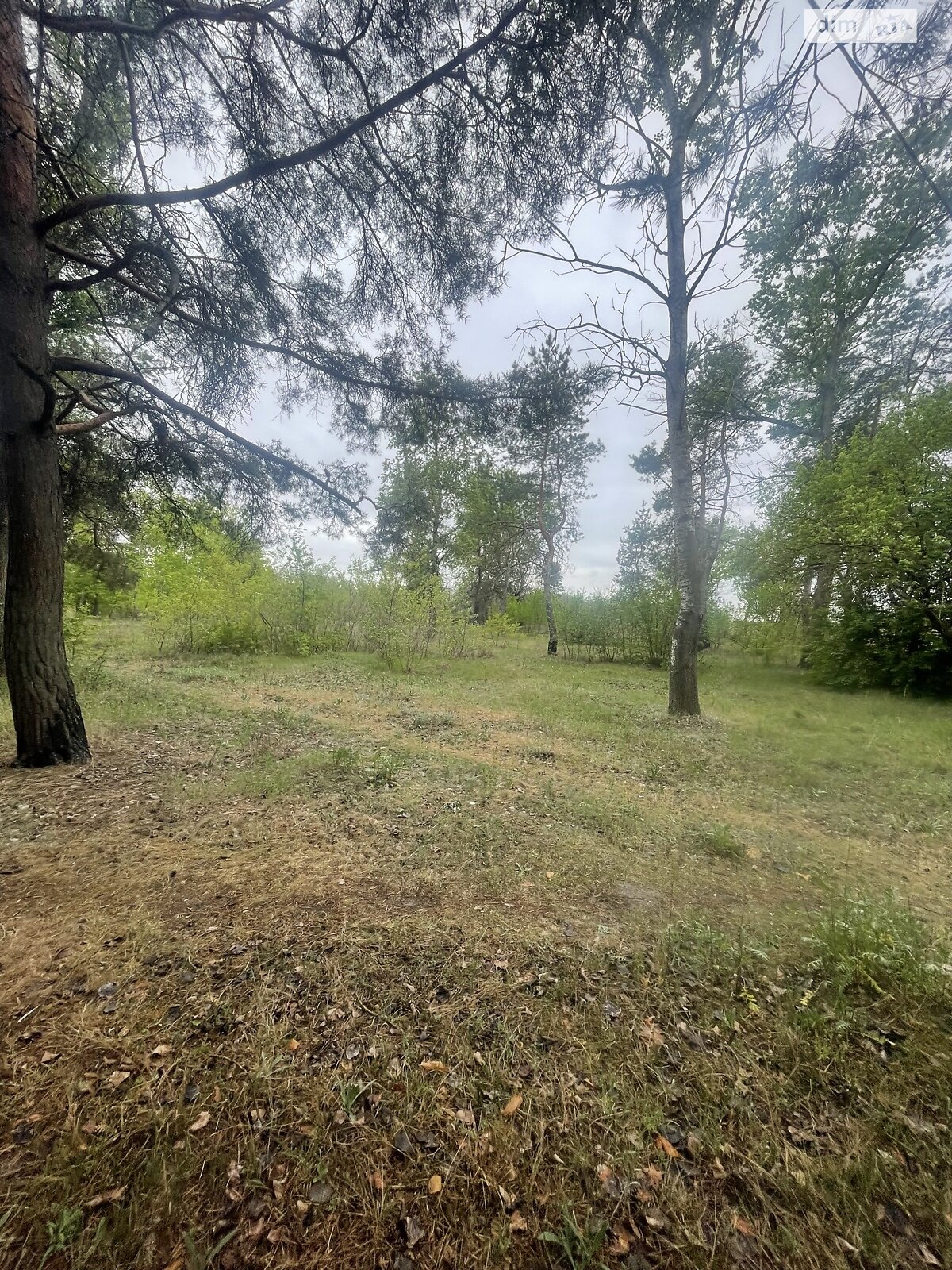 Земельный участок под жилую застройку в Солоницевке, площадь 15 соток фото 1 Земельный участок под жилую застройку в Солоницевке, площадь 15 соток фото 1