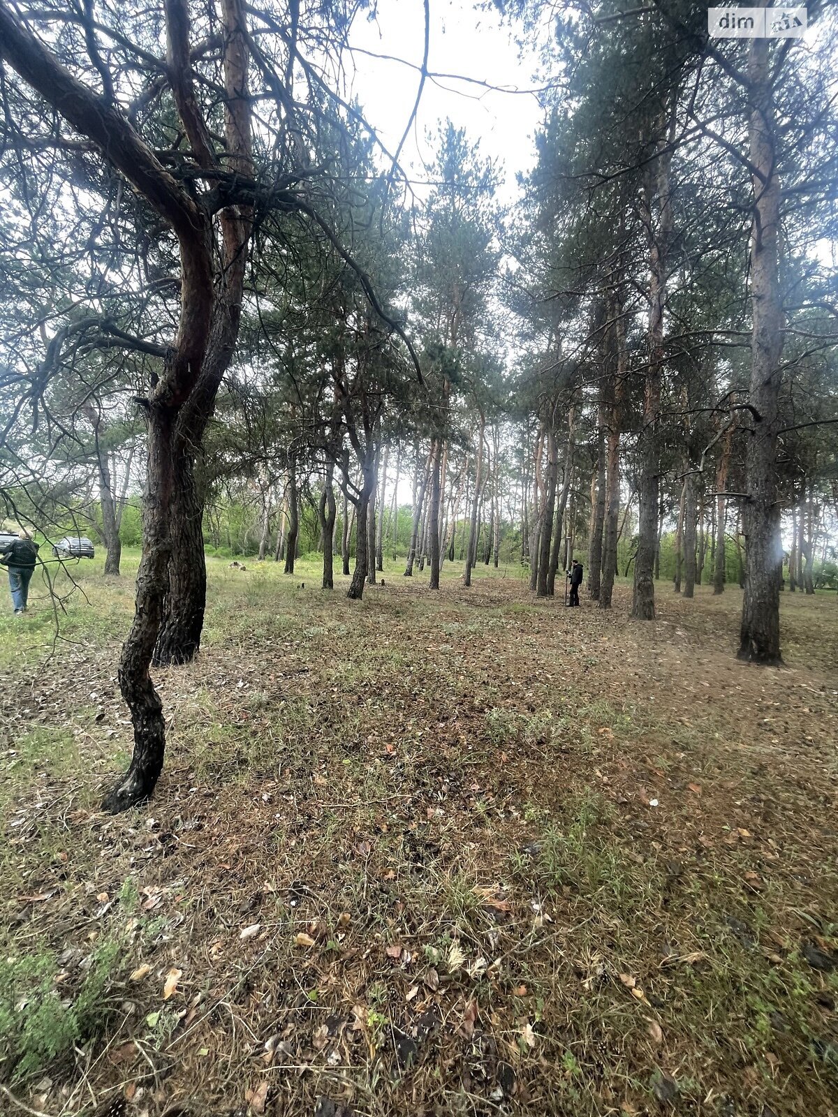 Земельный участок под жилую застройку в Солоницевке, площадь 15 соток фото 1 Земельный участок под жилую застройку в Солоницевке, площадь 15 соток фото 1