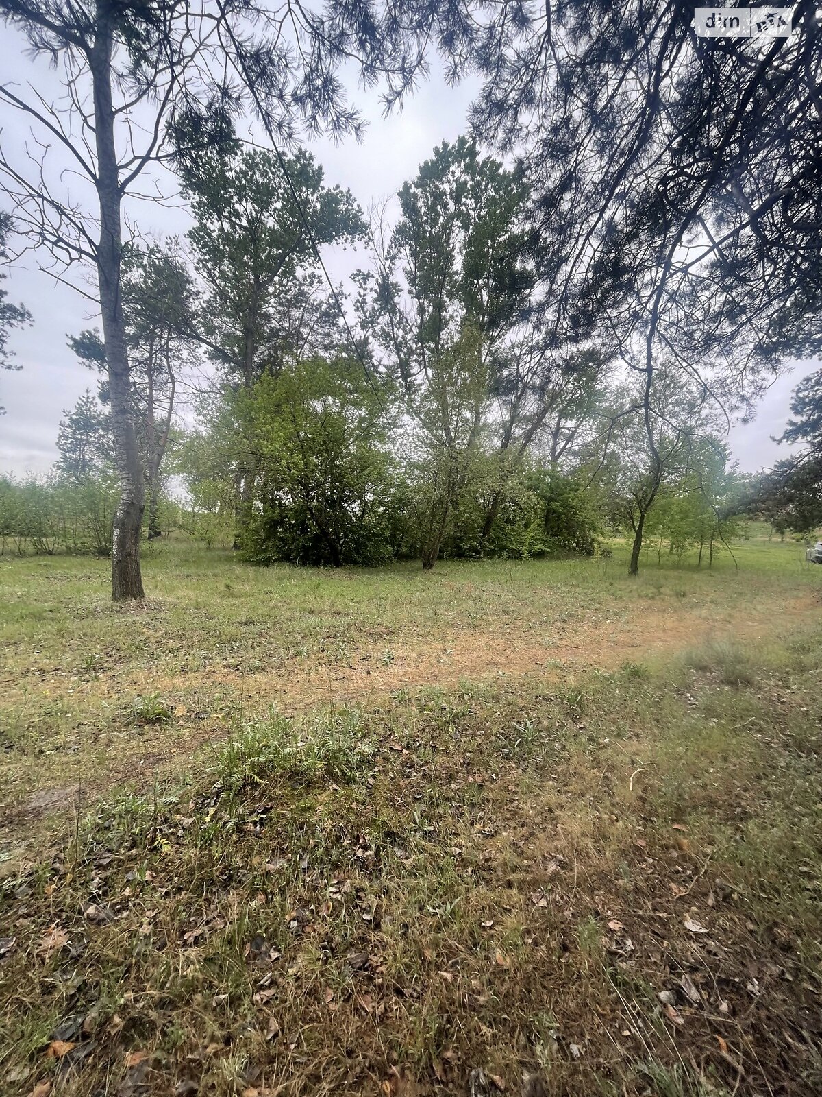 Земельный участок под жилую застройку в Солоницевке, площадь 15 соток фото 1 Земельный участок под жилую застройку в Солоницевке, площадь 15 соток фото 1