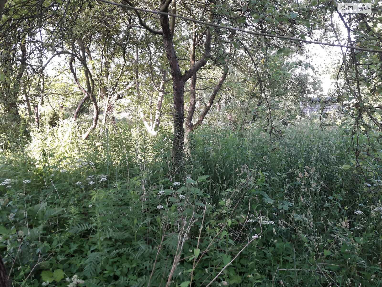 Земельна ділянка під житлову забудову в Солонці, площа 4.3 сотки фото 1