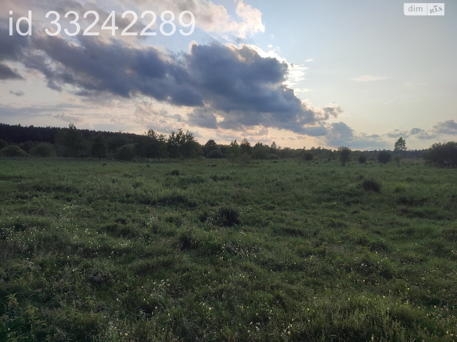 Земельна ділянка під житлову забудову в Солуках, площа 9 соток фото 1 Земельна ділянка під житлову забудову в Солуках, площа 9 соток фото 1