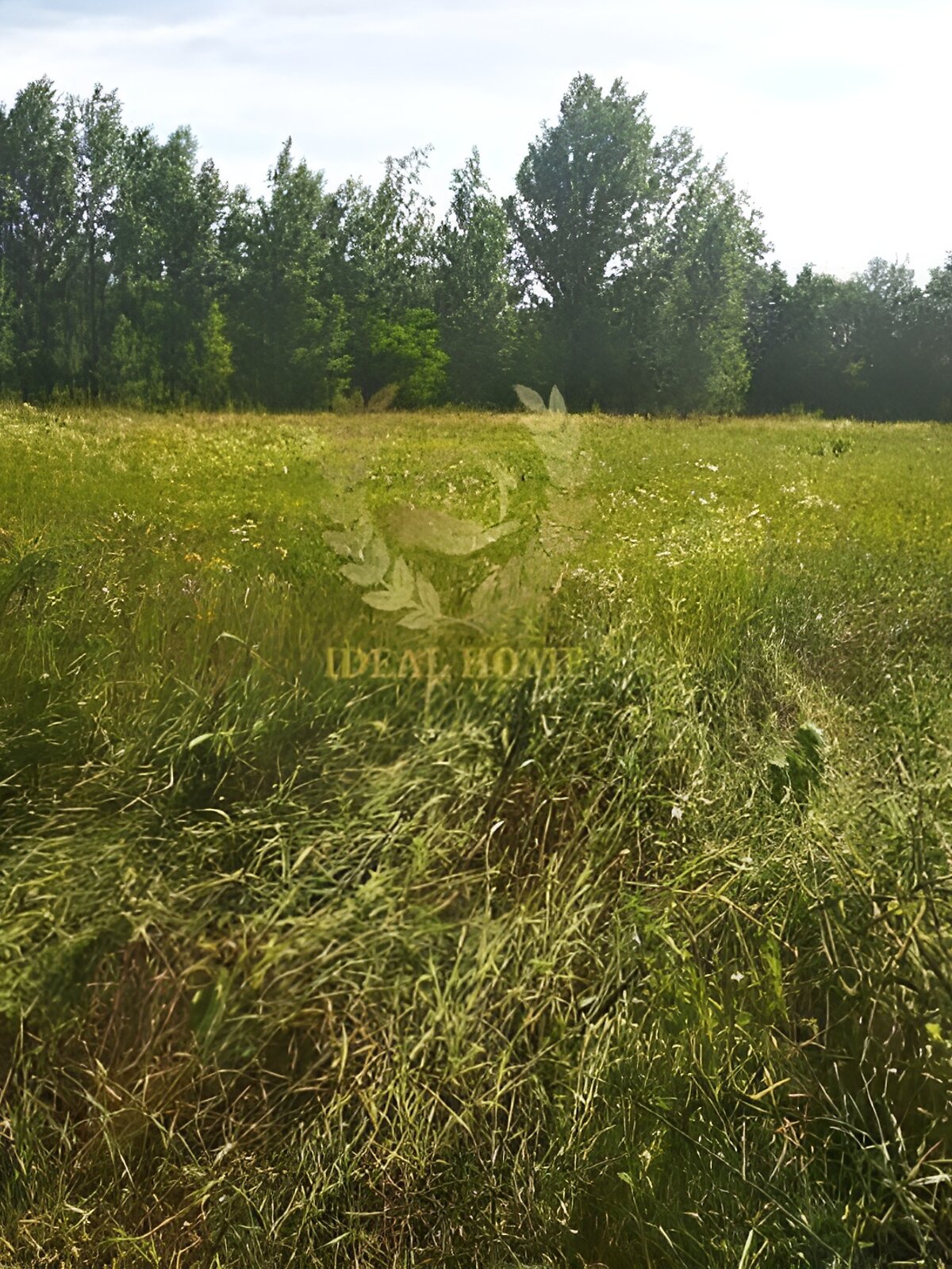 Земельна ділянка під житлову забудову в Соснівці, площа 22.23 сотки фото 2 Земельна ділянка під житлову забудову в Соснівці, площа 22.23 сотки фото 2