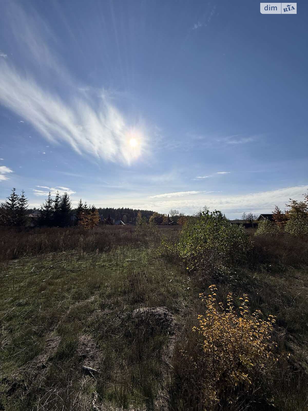 Земельный участок под жилую застройку в Сосновке, площадь 52.12 сотки фото 1 Земельный участок под жилую застройку в Сосновке, площадь 52.12 сотки фото 1