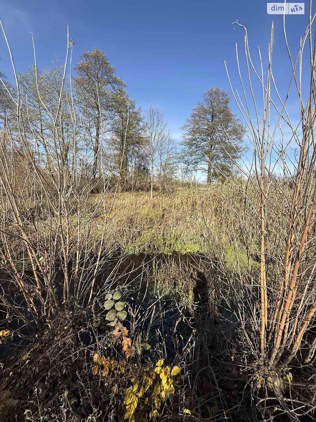 Земельный участок под жилую застройку в Сосновке, площадь 52.12 сотки фото 1 Земельный участок под жилую застройку в Сосновке, площадь 52.12 сотки фото 1