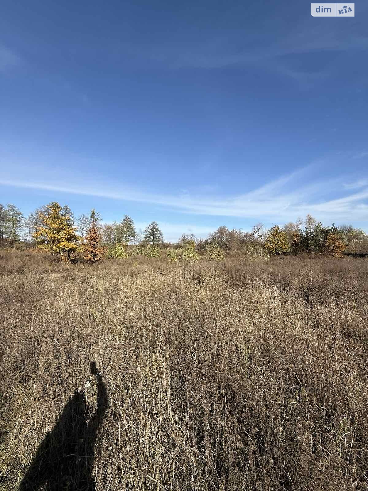 Земельный участок под жилую застройку в Сосновке, площадь 52.12 сотки фото 1 Земельный участок под жилую застройку в Сосновке, площадь 52.12 сотки фото 1