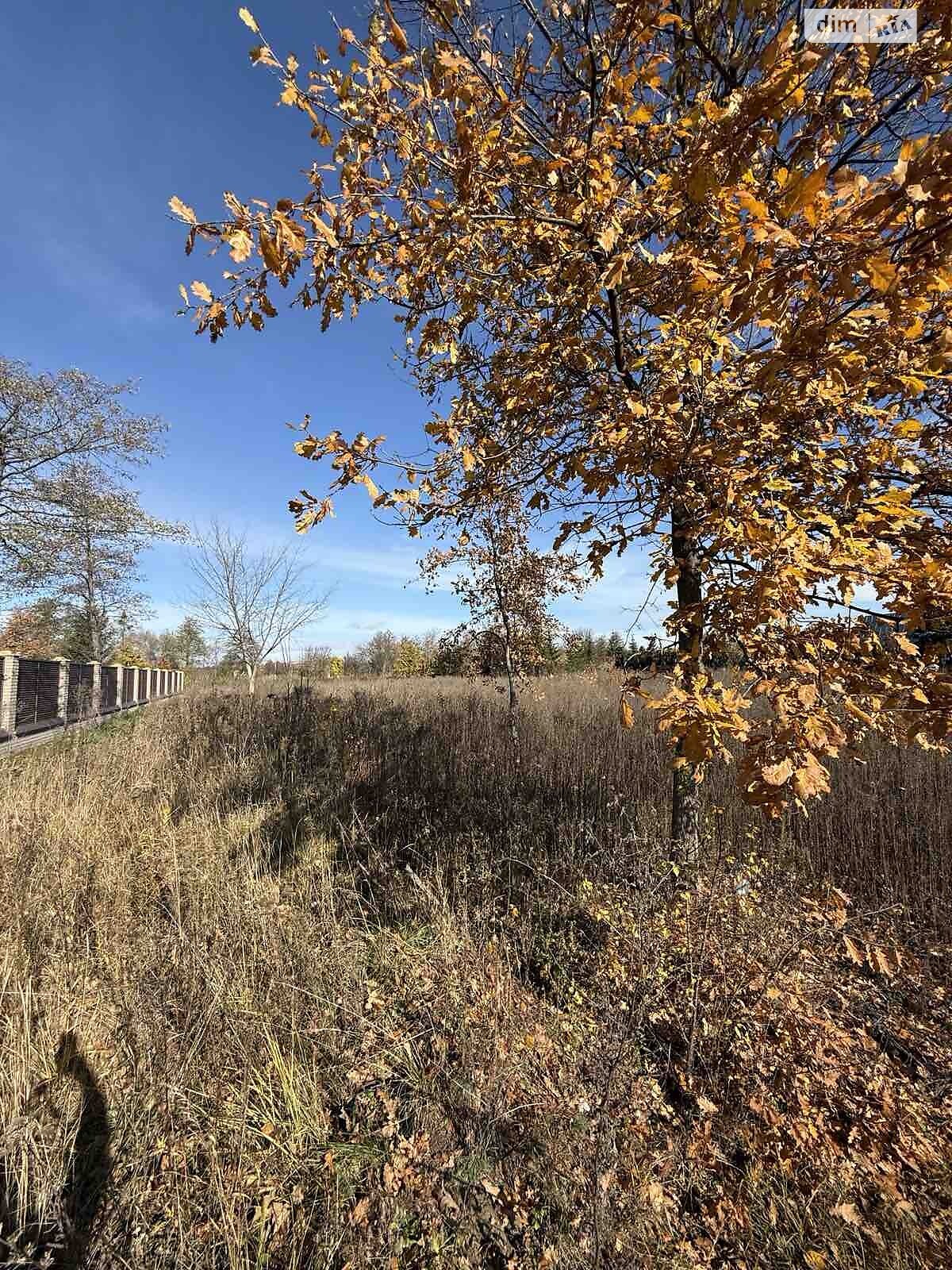 Земельный участок под жилую застройку в Сосновке, площадь 52.12 сотки фото 1 Земельный участок под жилую застройку в Сосновке, площадь 52.12 сотки фото 1