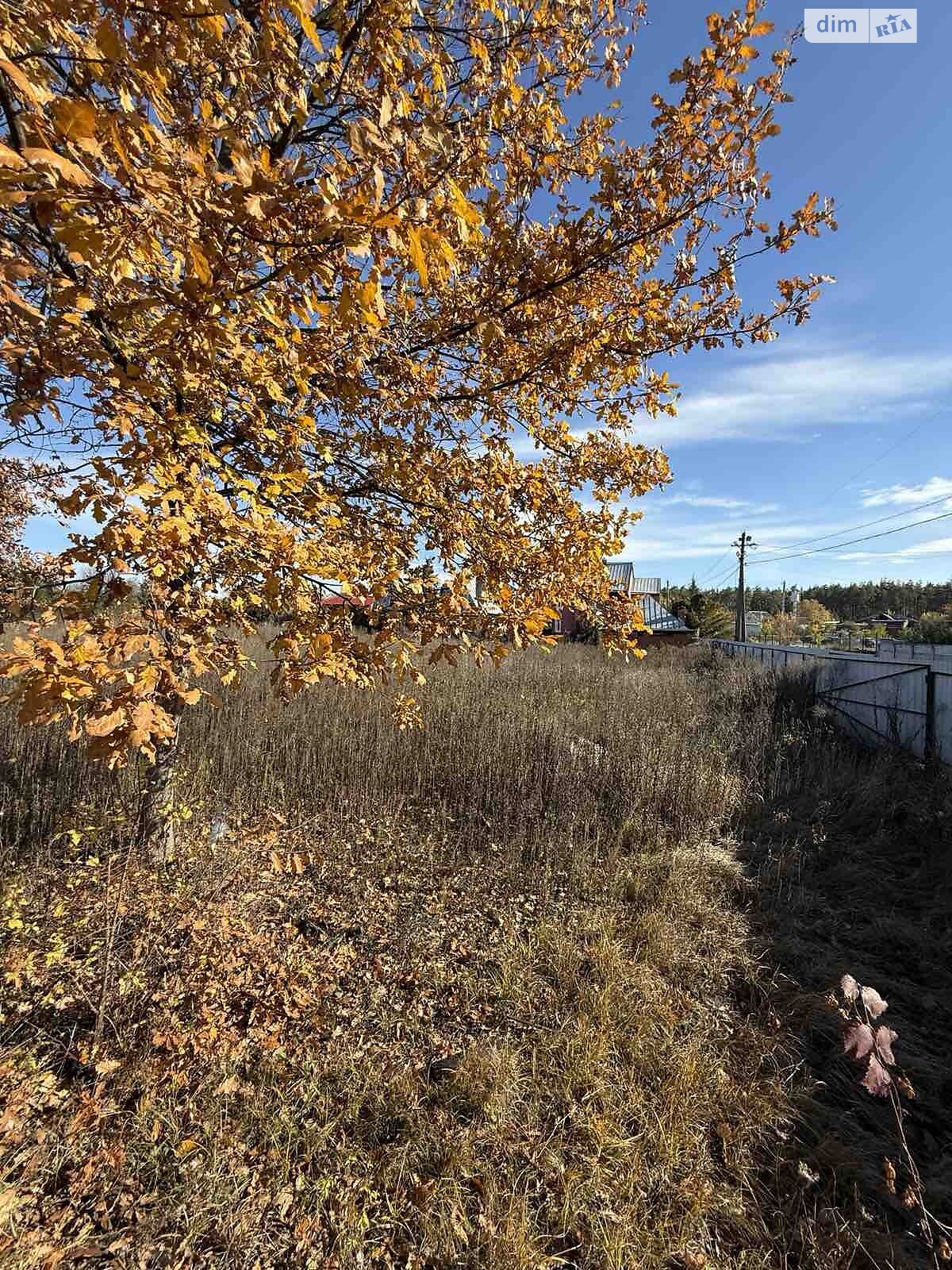 Земельный участок под жилую застройку в Сосновке, площадь 52.12 сотки фото 1 Земельный участок под жилую застройку в Сосновке, площадь 52.12 сотки фото 1