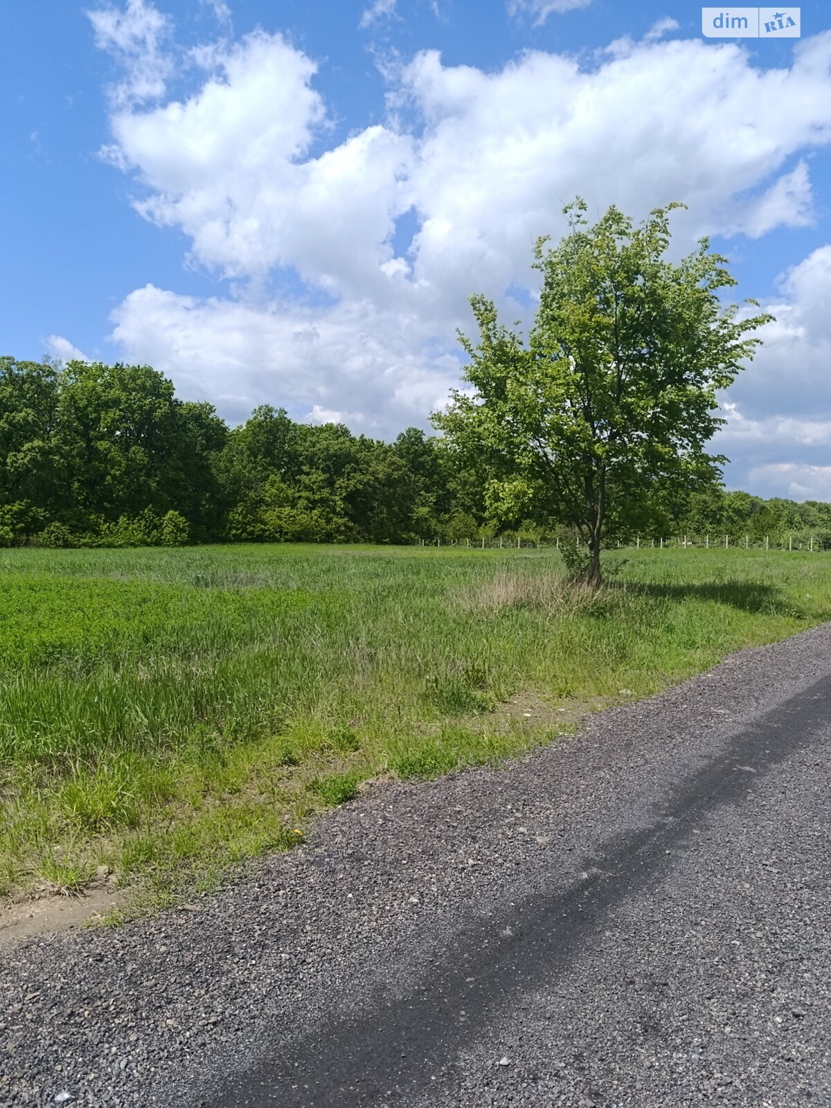 Земельна ділянка під житлову забудову в Сосонці, площа 17.96 сотки фото 1 Земельна ділянка під житлову забудову в Сосонці, площа 17.96 сотки фото 1