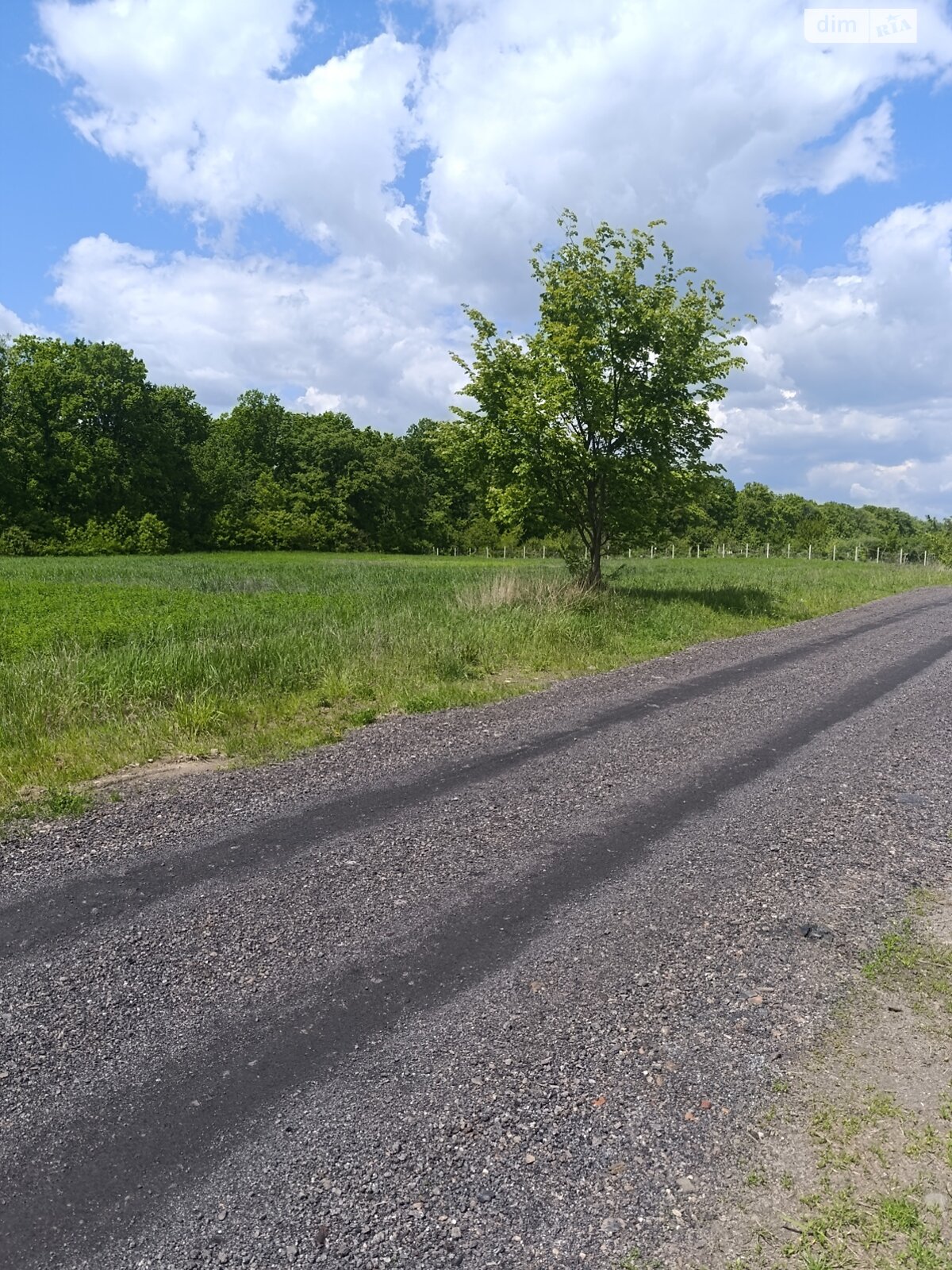 Земельна ділянка під житлову забудову в Сосонці, площа 17.96 сотки фото 1 Земельна ділянка під житлову забудову в Сосонці, площа 17.96 сотки фото 1