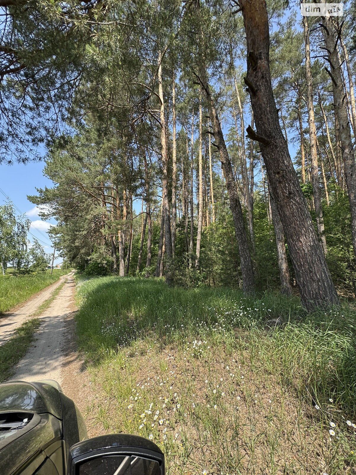 Земельна ділянка під житлову забудову в Сосонці, площа 25 соток фото 1 Земельна ділянка під житлову забудову в Сосонці, площа 25 соток фото 1