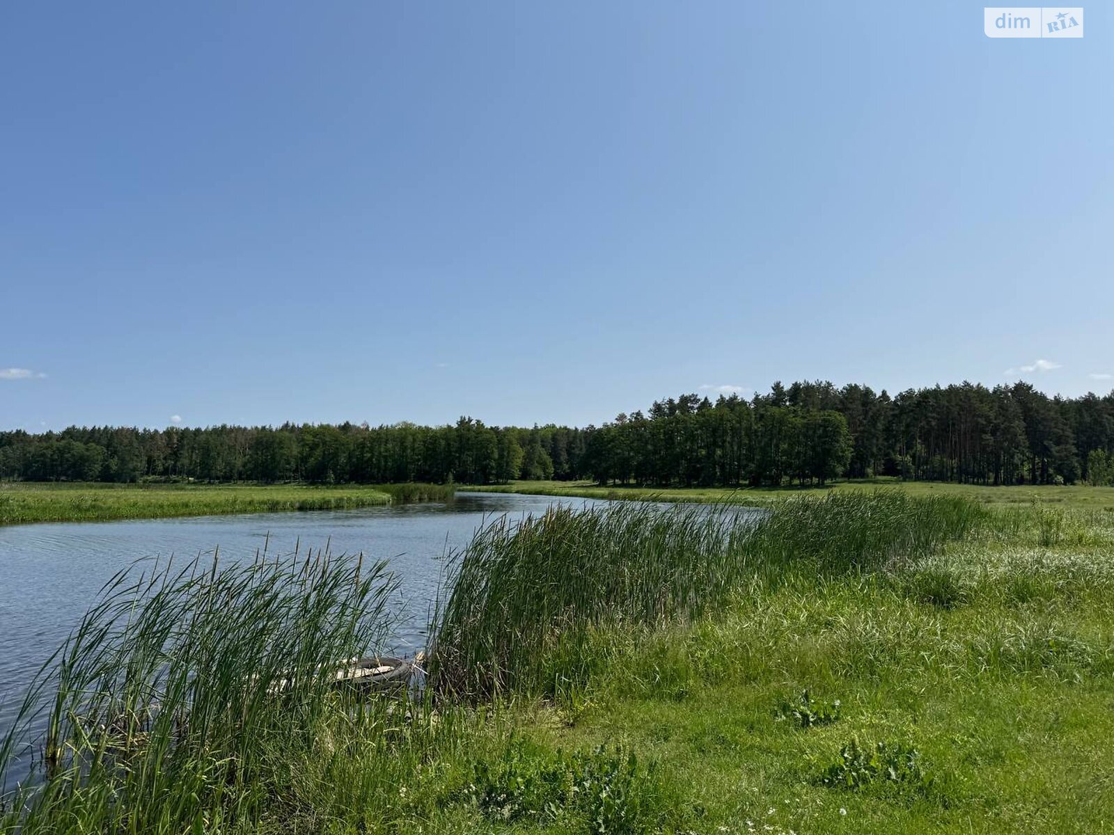 Земельна ділянка під житлову забудову в Сосонці, площа 25 соток фото 1 Земельна ділянка під житлову забудову в Сосонці, площа 25 соток фото 1