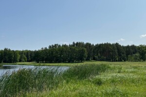 Земельна ділянка під житлову забудову в Сосонці, площа 25 соток фото 2