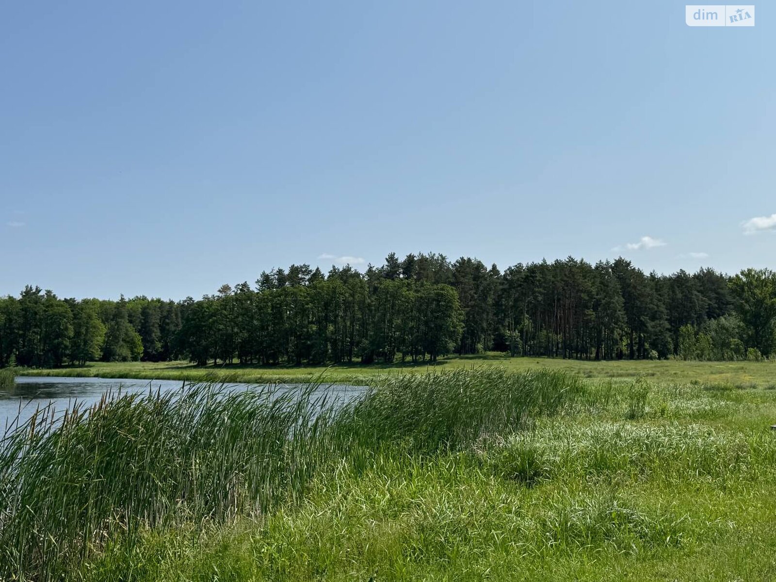 Земельна ділянка під житлову забудову в Сосонці, площа 25 соток фото 1 Земельна ділянка під житлову забудову в Сосонці, площа 25 соток фото 1
