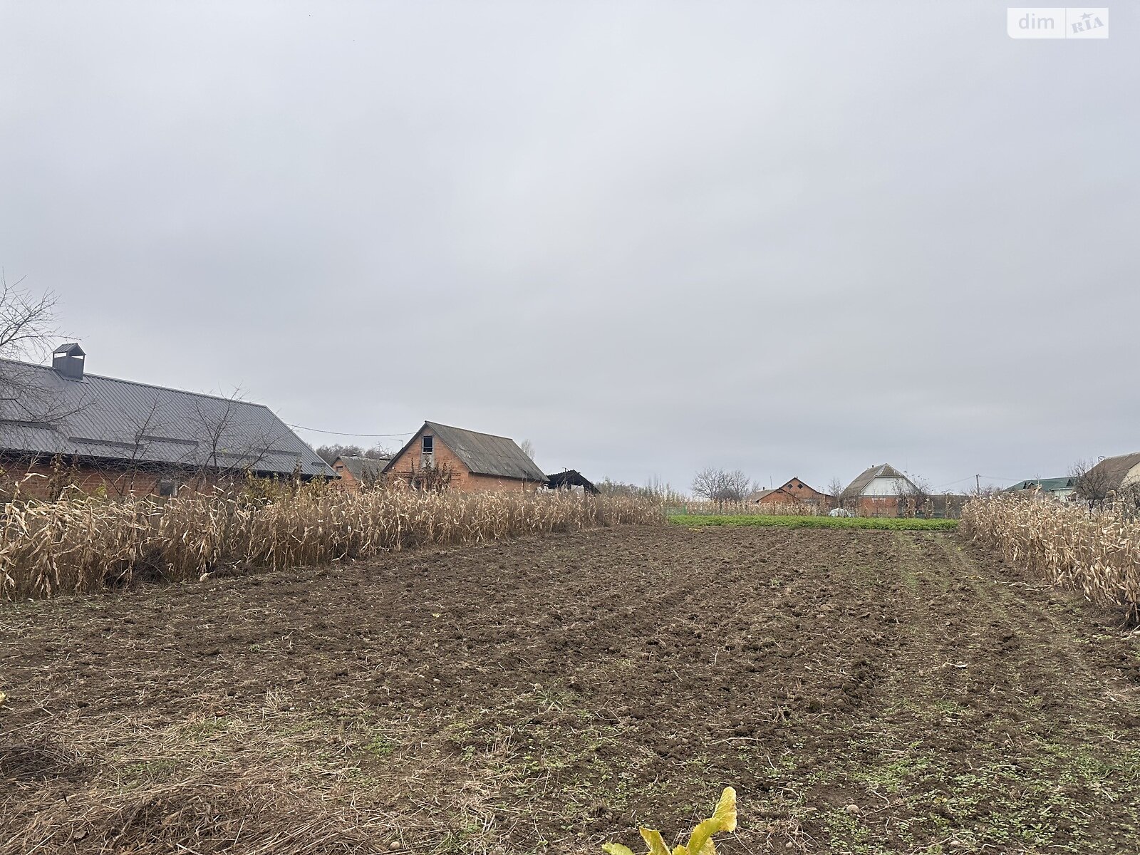 Земельный участок под жилую застройку в Сосонке, площадь 19 соток фото 1