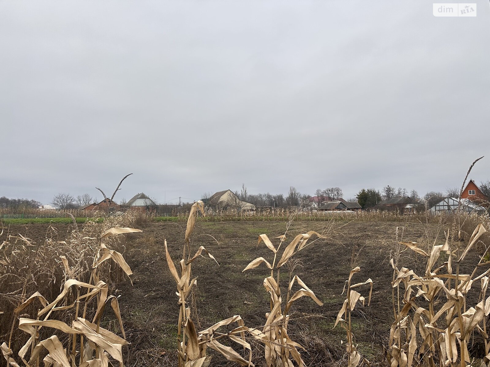 Земельный участок под жилую застройку в Сосонке, площадь 19 соток фото 1