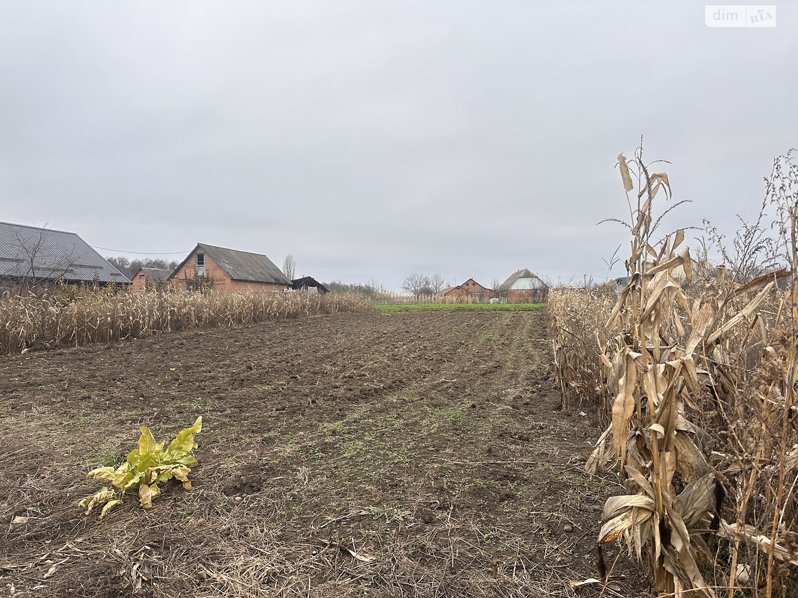 Земельный участок под жилую застройку в Сосонке, площадь 19 соток фото 1