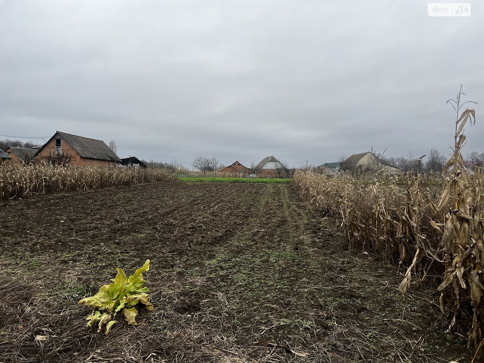 Земельный участок под жилую застройку в Сосонке, площадь 18.92 сотки фото 1 Земельный участок под жилую застройку в Сосонке, площадь 18.92 сотки фото 1