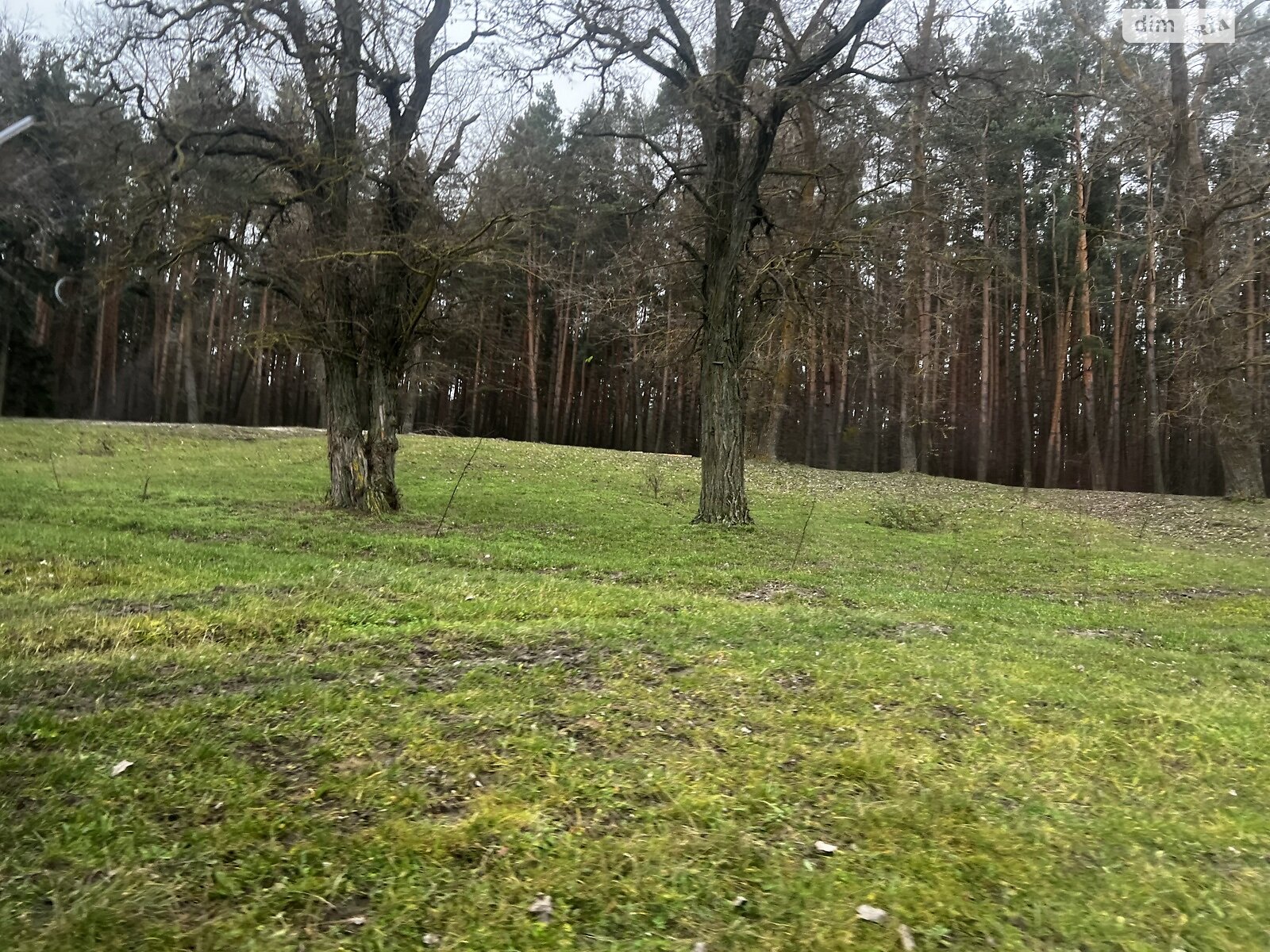 Земельный участок под жилую застройку в Сосонке, площадь 18.92 сотки фото 1 Земельный участок под жилую застройку в Сосонке, площадь 18.92 сотки фото 1