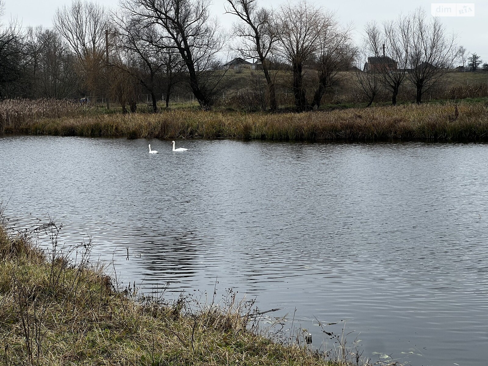 Земельный участок под жилую застройку в Сосонке, площадь 18.92 сотки фото 1 Земельный участок под жилую застройку в Сосонке, площадь 18.92 сотки фото 1