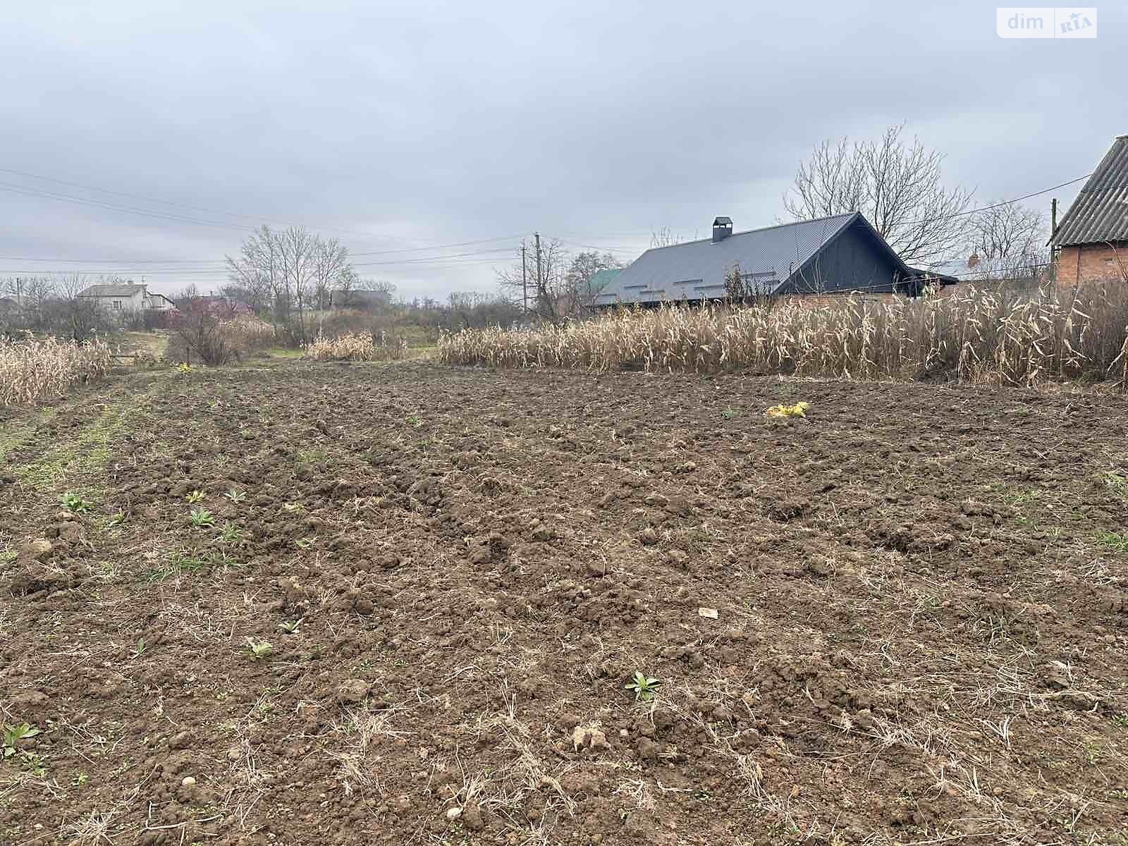 Земельный участок под жилую застройку в Сосонке, площадь 18.92 сотки фото 1 Земельный участок под жилую застройку в Сосонке, площадь 18.92 сотки фото 1