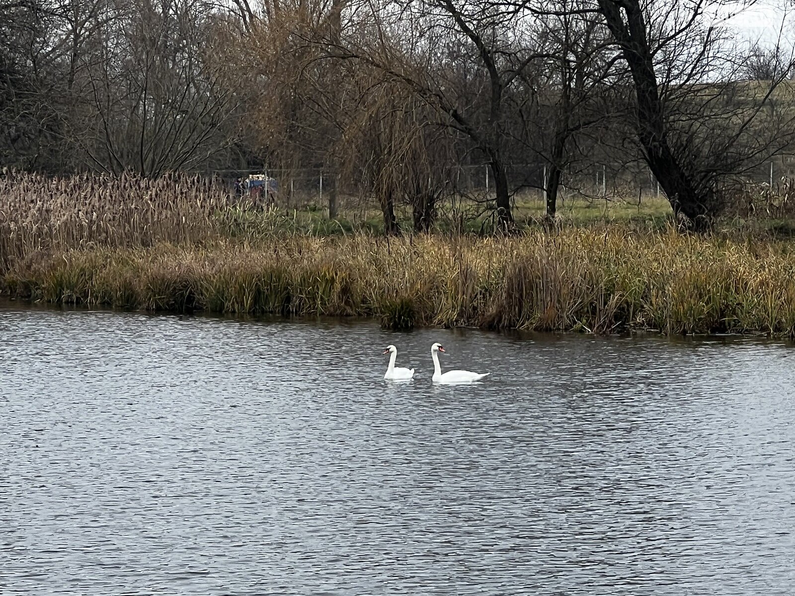Земельный участок под жилую застройку в Сосонке, площадь 18.92 сотки фото 1 Земельный участок под жилую застройку в Сосонке, площадь 18.92 сотки фото 1