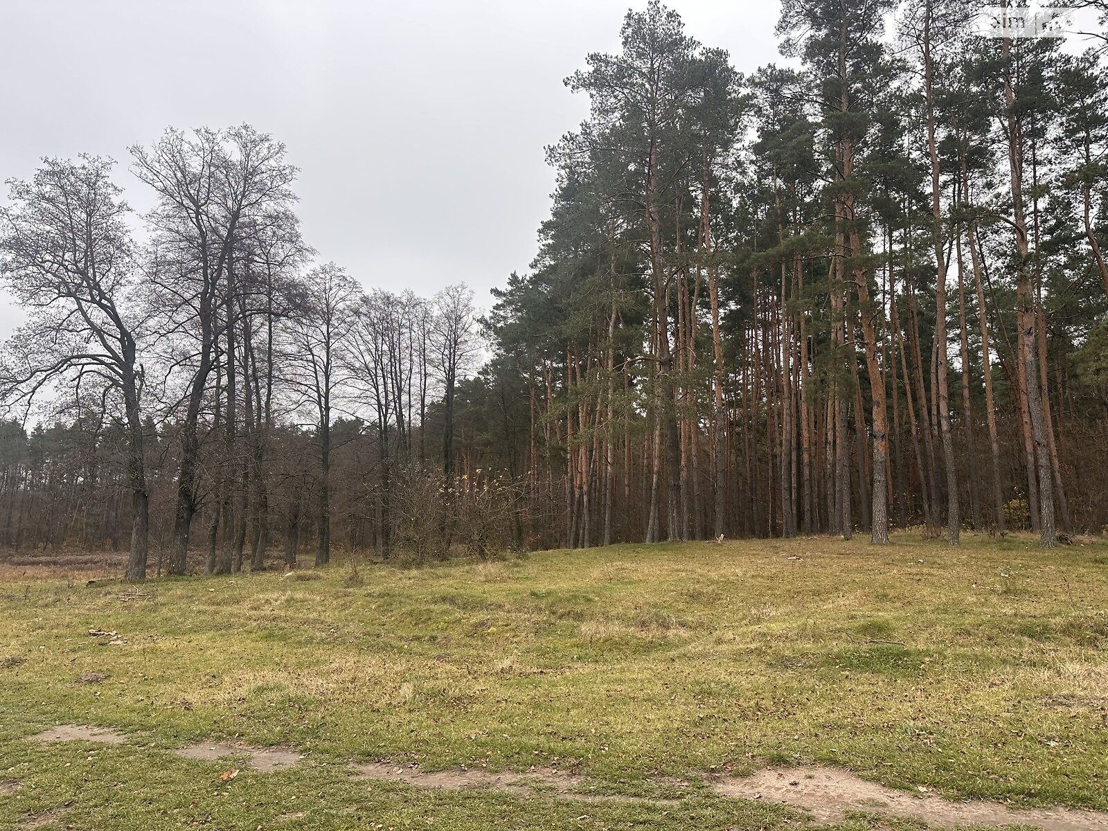 Земельный участок под жилую застройку в Сосонке, площадь 19 соток фото 1