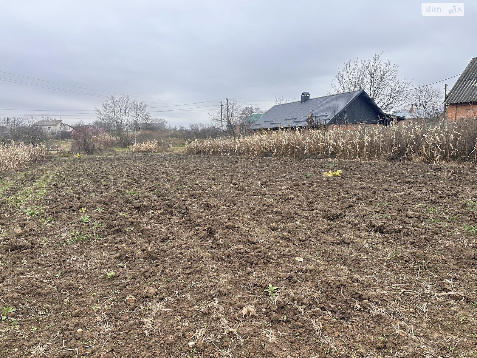 Земельный участок под жилую застройку в Сосонке, площадь 19 соток фото 1