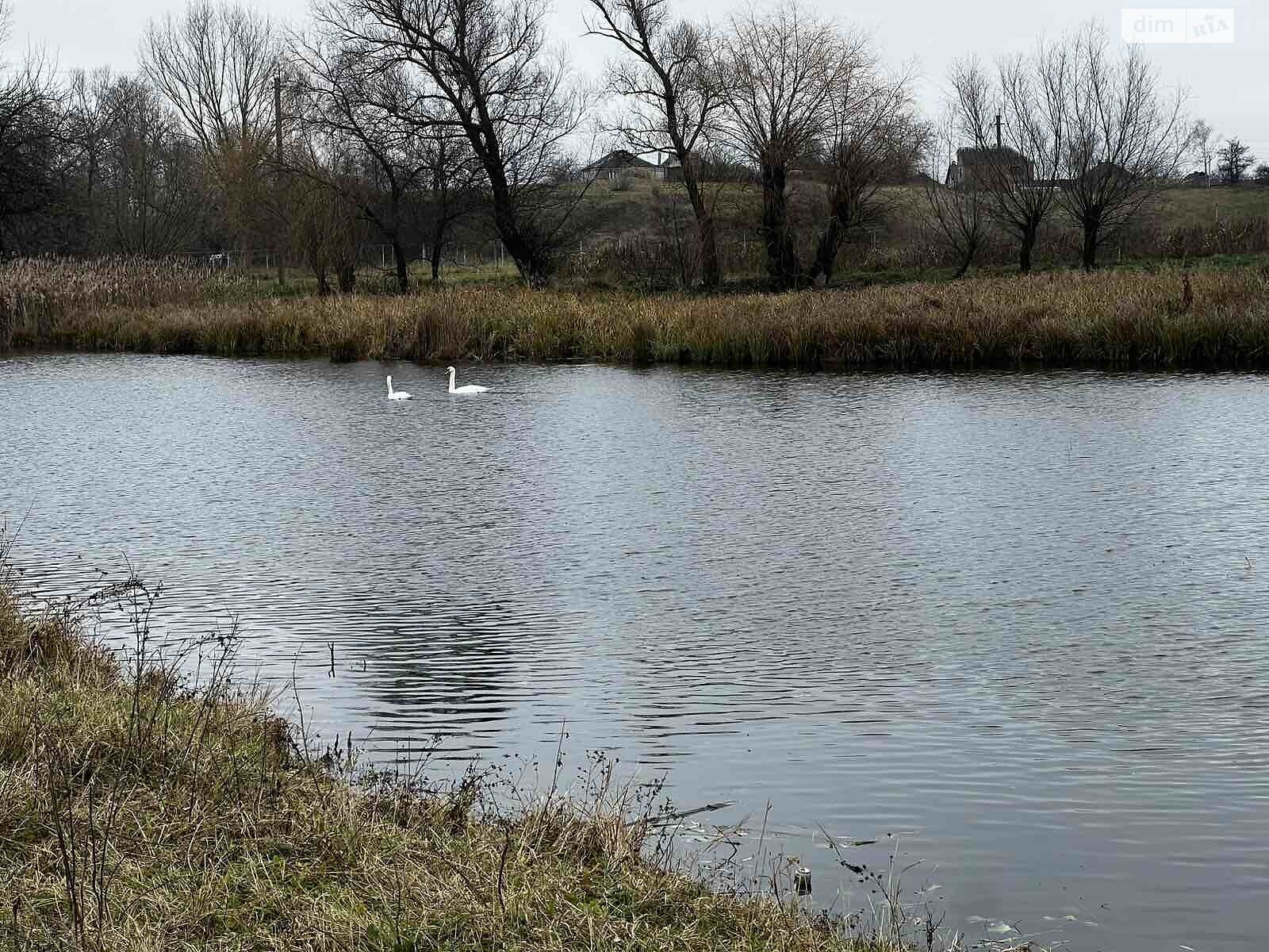 Земельный участок под жилую застройку в Сосонке, площадь 19 соток фото 1