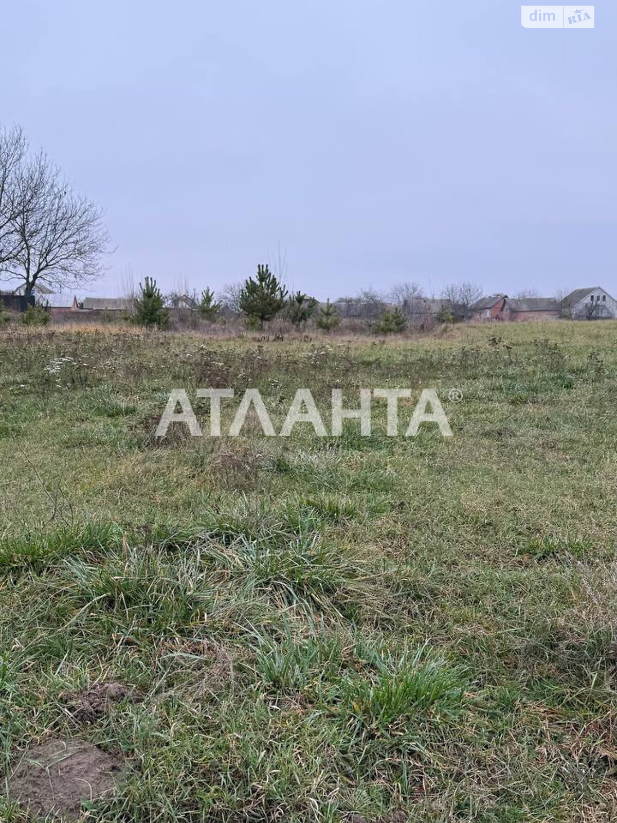 Земельный участок под жилую застройку в Сосонке, площадь 26 соток фото 1 Земельный участок под жилую застройку в Сосонке, площадь 26 соток фото 1