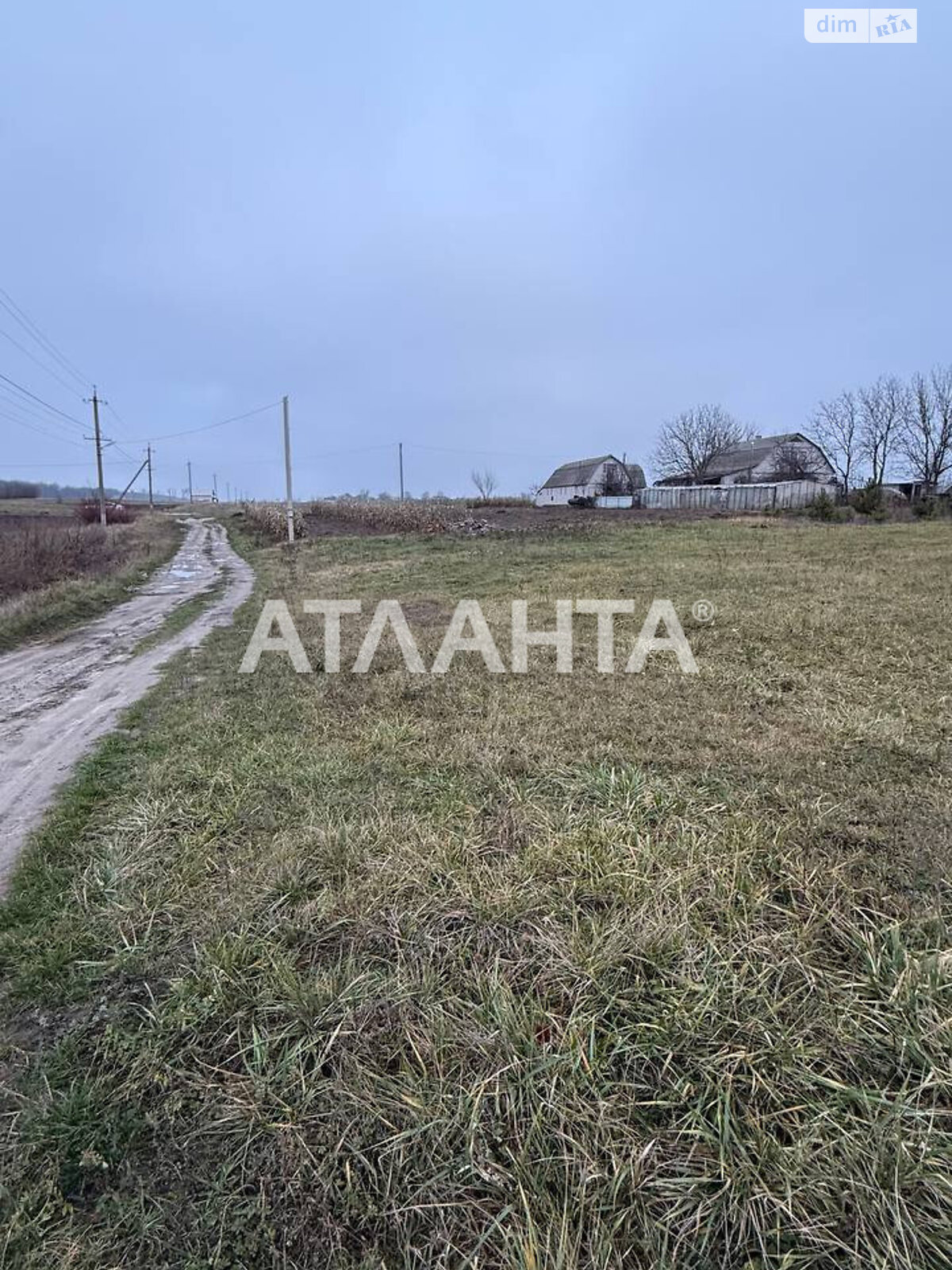 Земельный участок под жилую застройку в Сосонке, площадь 26 соток фото 1 Земельный участок под жилую застройку в Сосонке, площадь 26 соток фото 1