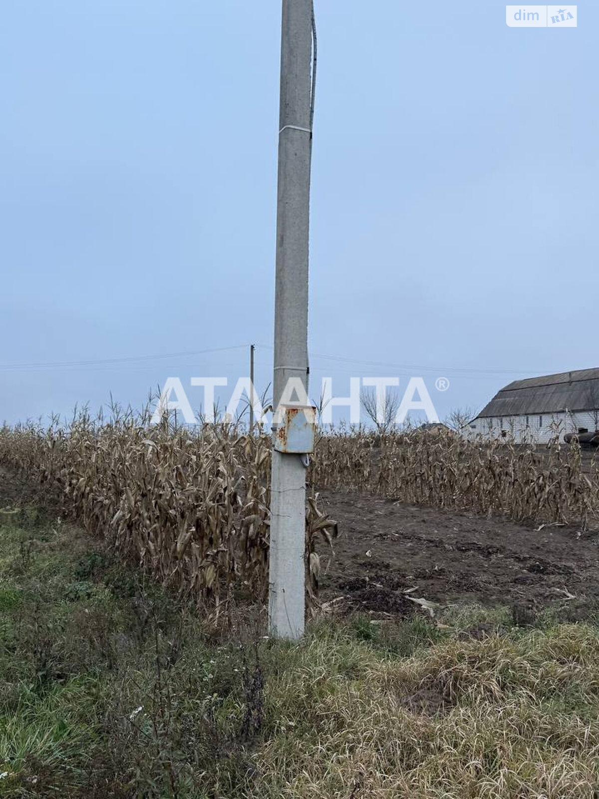 Земельный участок под жилую застройку в Сосонке, площадь 26 соток фото 1 Земельный участок под жилую застройку в Сосонке, площадь 26 соток фото 1