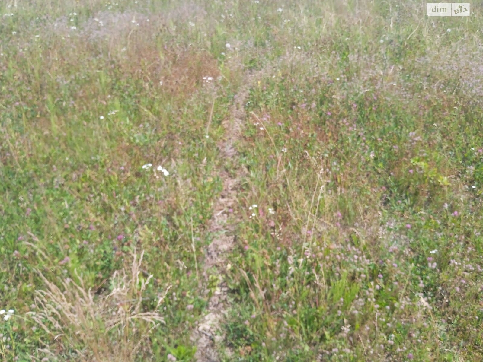 Земельный участок под жилую застройку в Стаднице, площадь 12 соток фото 1