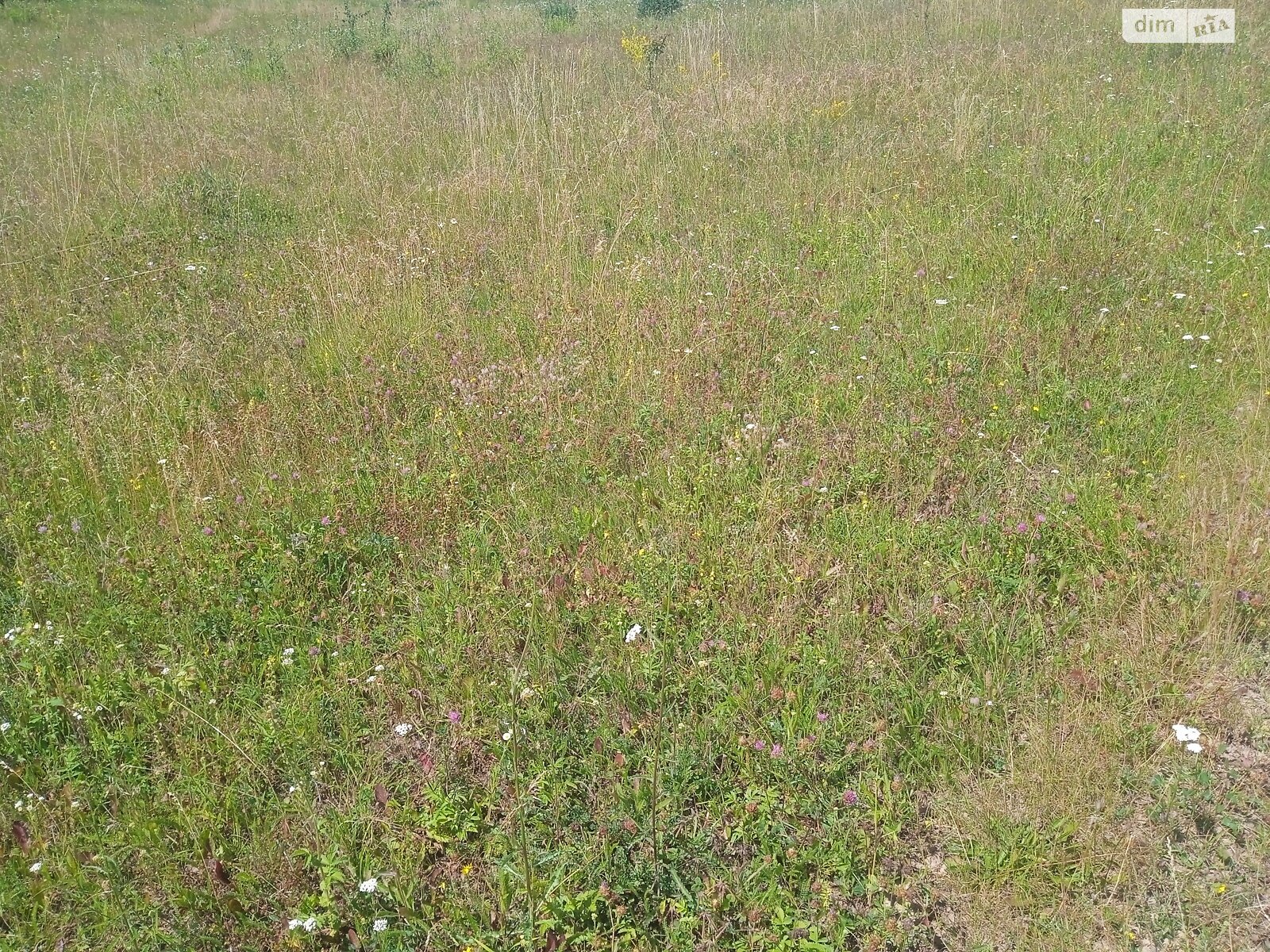 Земельный участок под жилую застройку в Стаднице, площадь 12 соток фото 1