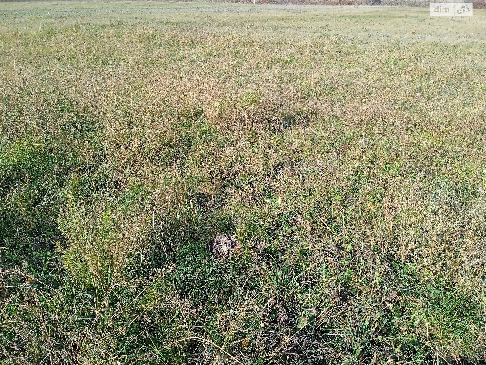 Земельный участок под жилую застройку в Стаднице, площадь 12 соток фото 1