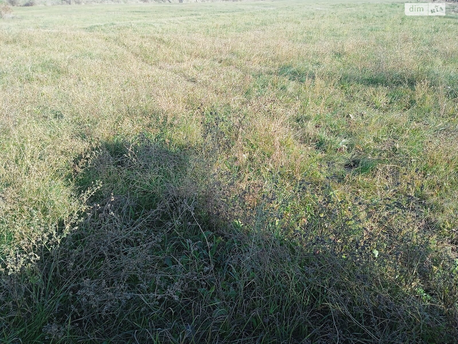 Земельный участок под жилую застройку в Стаднице, площадь 12 соток фото 1