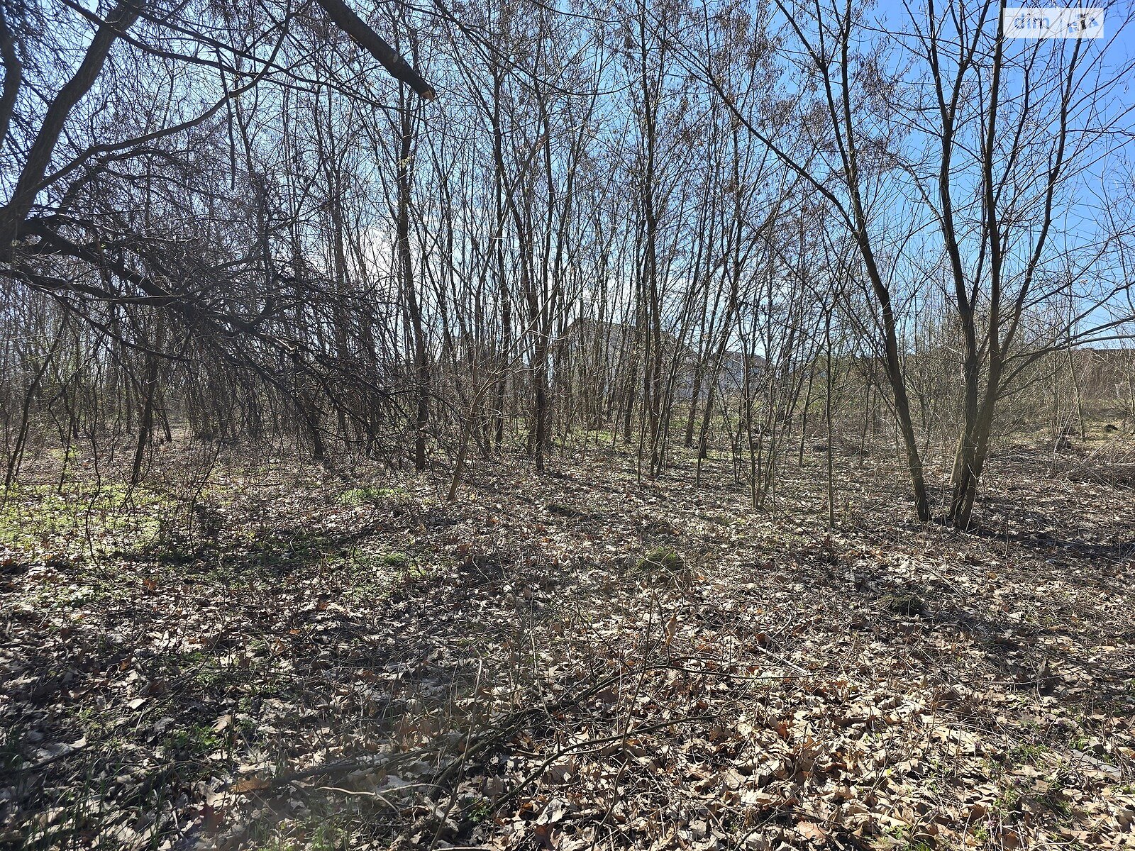 Земельна ділянка під житлову забудову в Станишівці, площа 10 соток фото 1 Земельна ділянка під житлову забудову в Станишівці, площа 10 соток фото 1