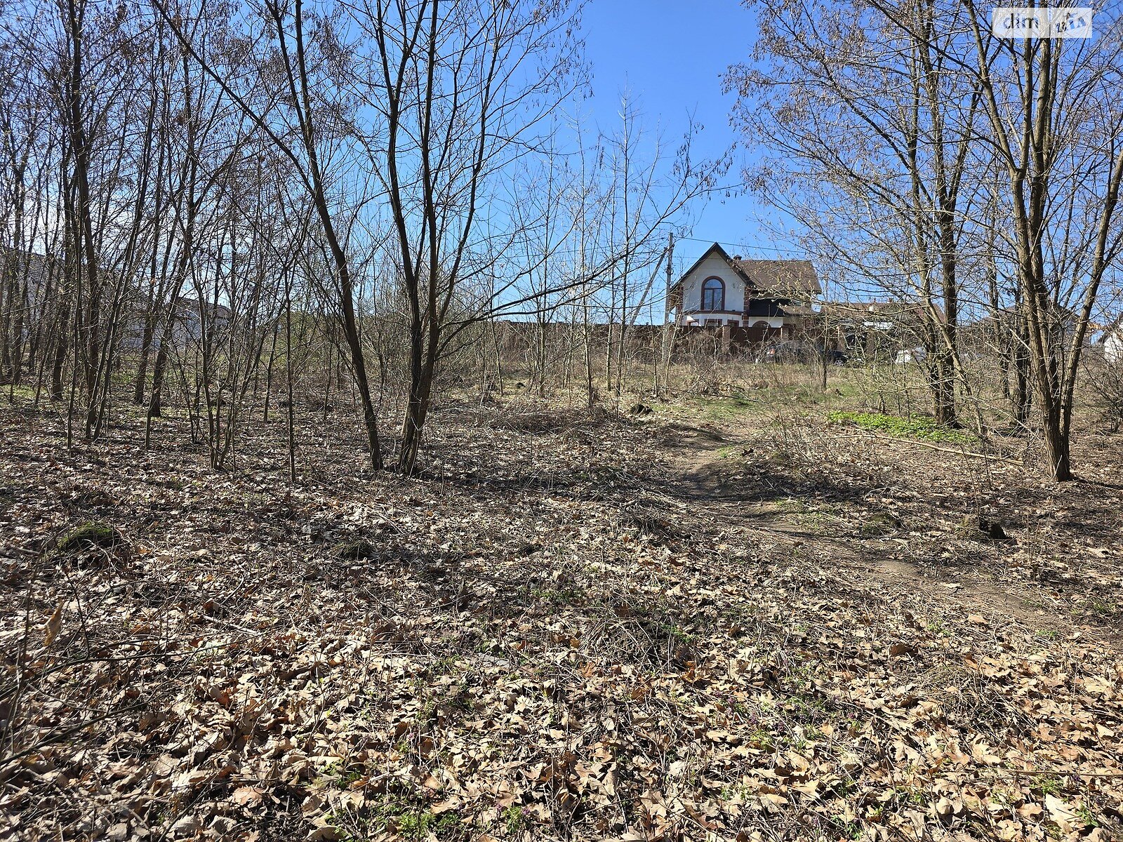 Земельна ділянка під житлову забудову в Станишівці, площа 10 соток фото 1 Земельна ділянка під житлову забудову в Станишівці, площа 10 соток фото 1
