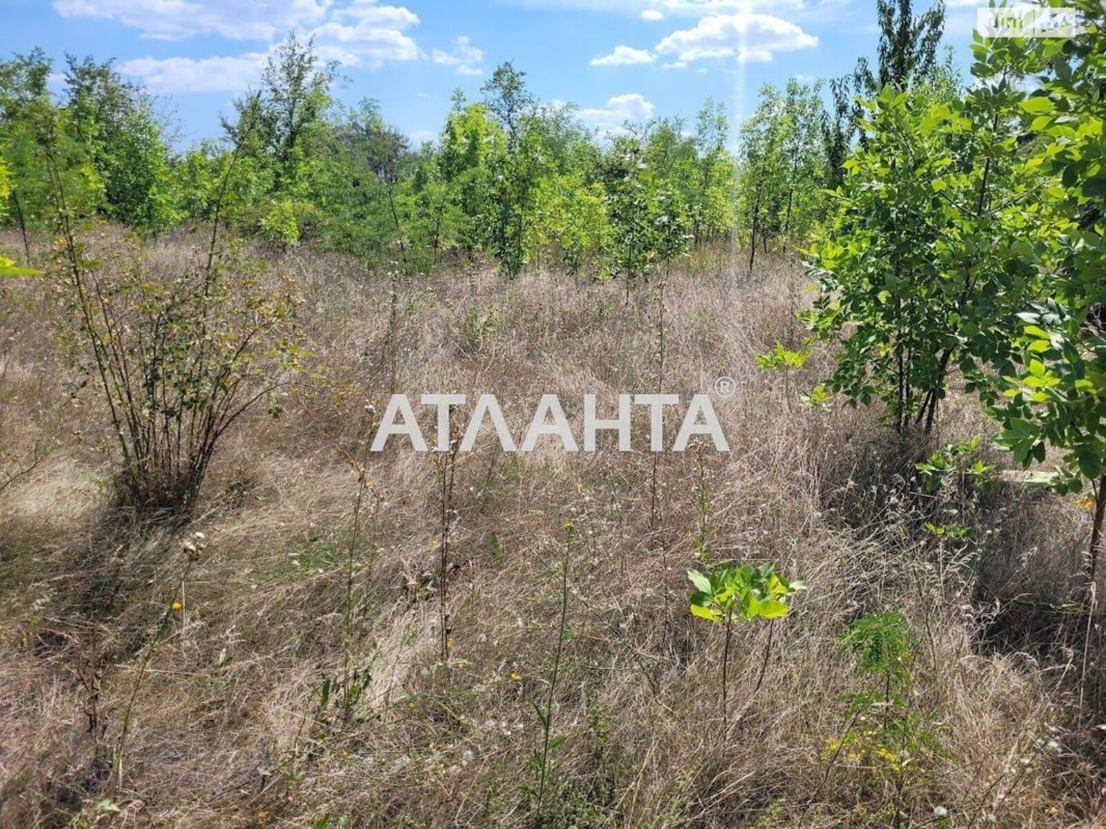 Земельна ділянка під житлову забудову в Станції Усатове, площа 10 соток фото 1