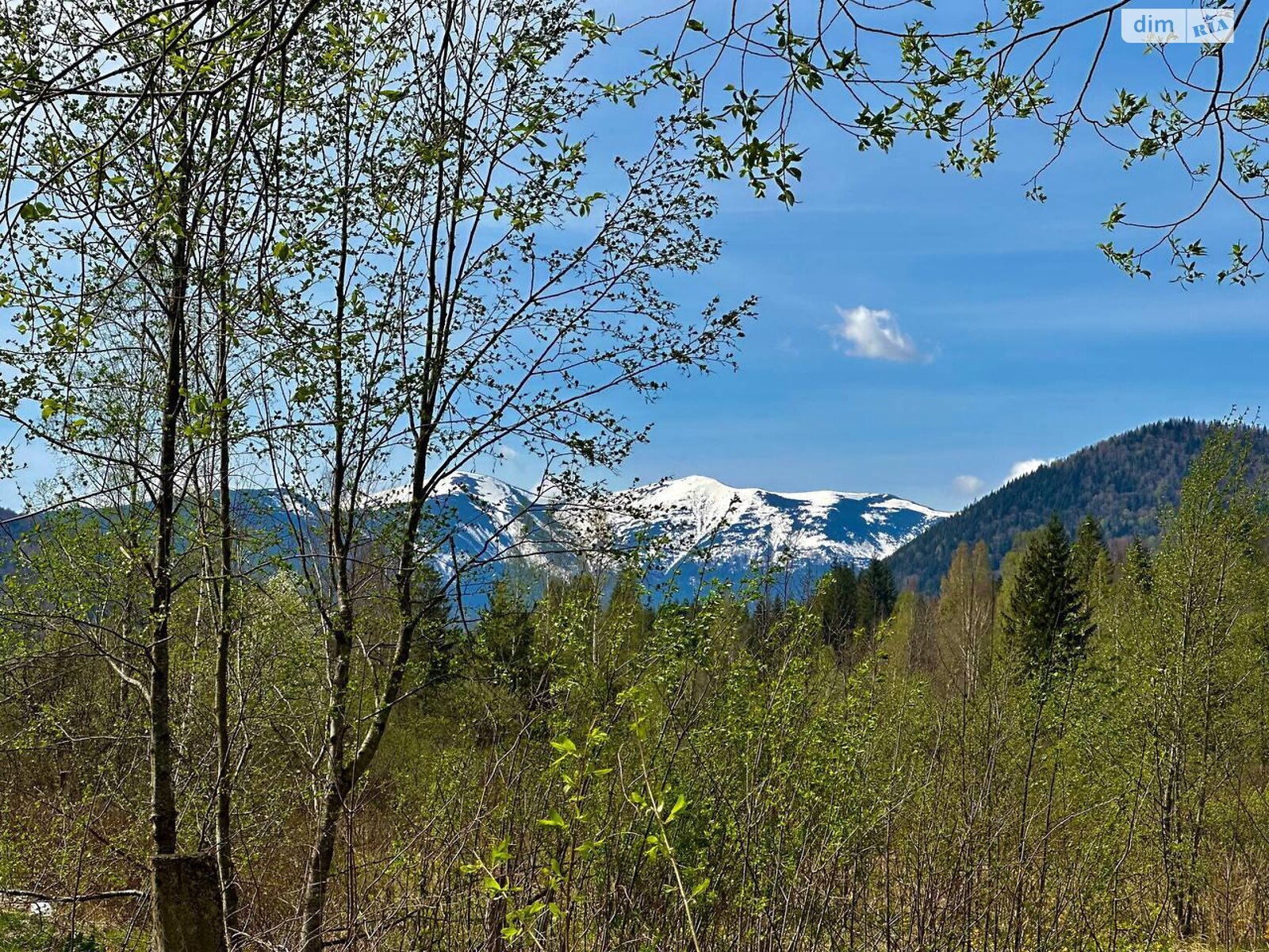 Земельный участок под жилую застройку в Старой Гуте, площадь 31 сотка фото 1