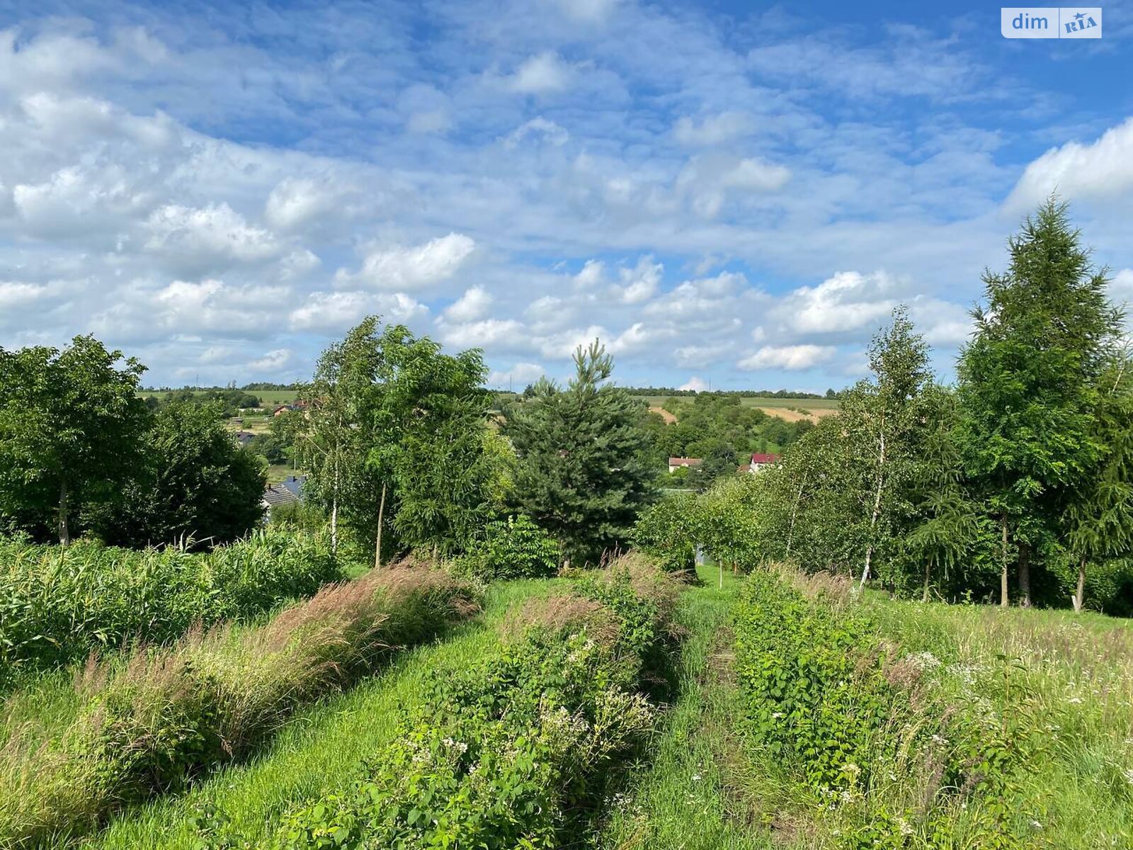 Земельна ділянка під житлову забудову в Старе Село, площа 13.89 сотки фото 1 Земельна ділянка під житлову забудову в Старе Село, площа 13.89 сотки фото 1