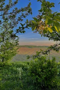 Земельный участок под жилую застройку в Староставе, площадь 61 сотка фото 2