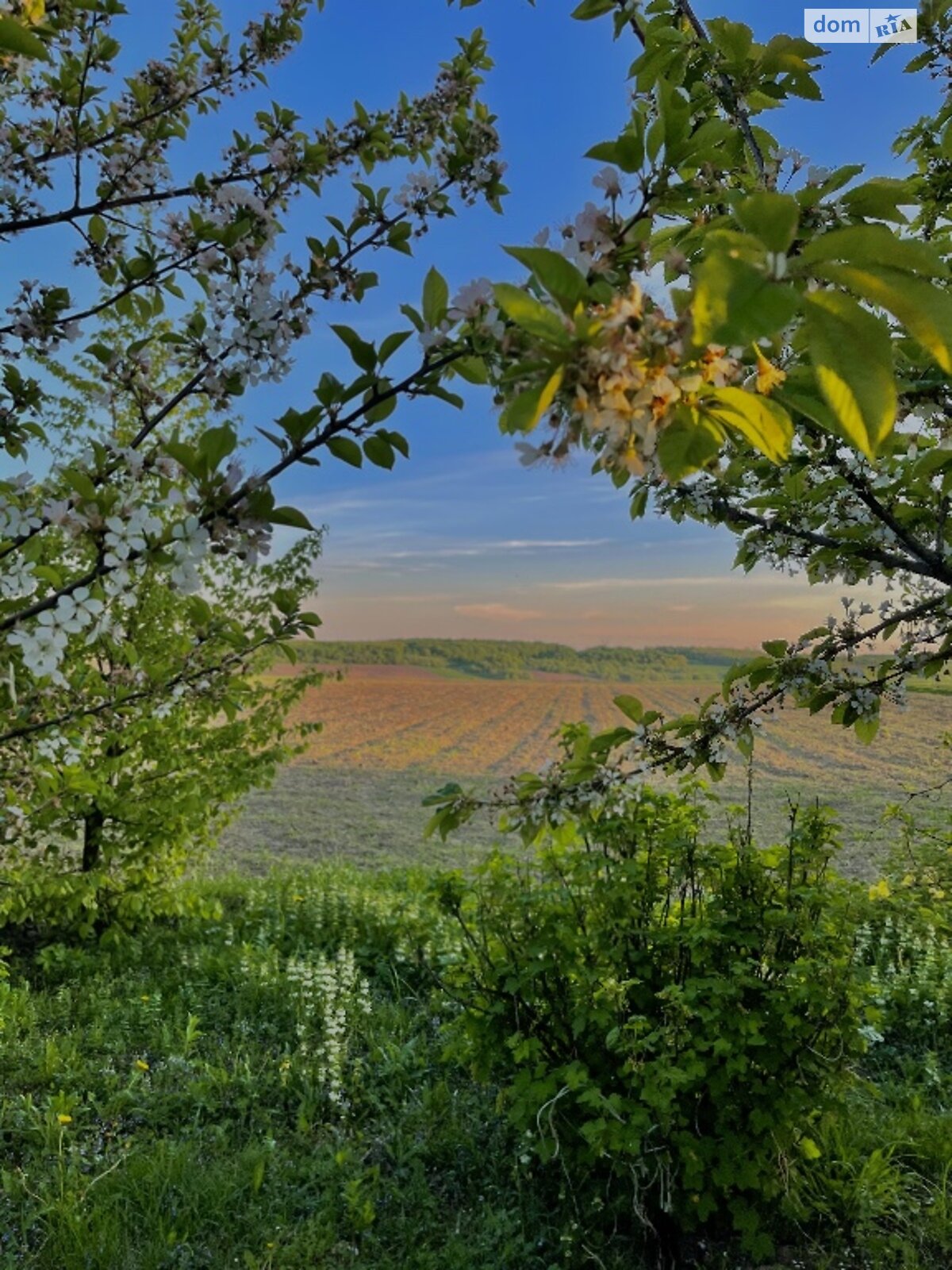 Земельный участок под жилую застройку в Староставе, площадь 61 сотка фото 1