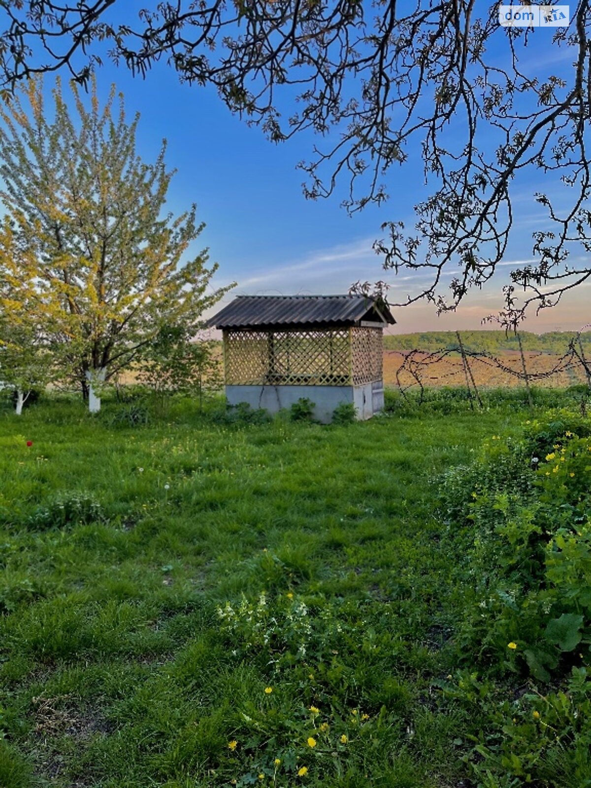 Земельный участок под жилую застройку в Староставе, площадь 61 сотка фото 1