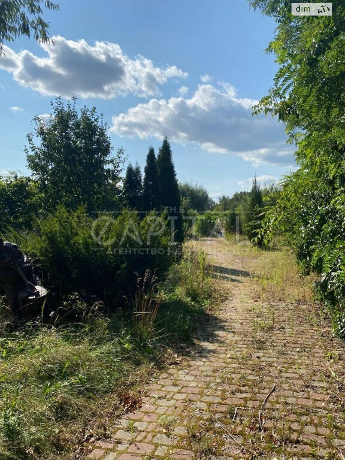 Земельный участок под жилую застройку в Старых Безрадичах, площадь 20 соток фото 1