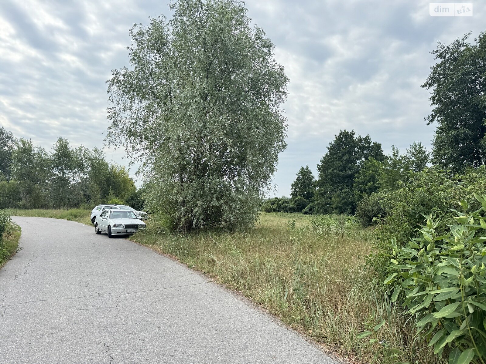 Земельна ділянка під житлову забудову в Старих Безрадичах, площа 60 соток фото 1