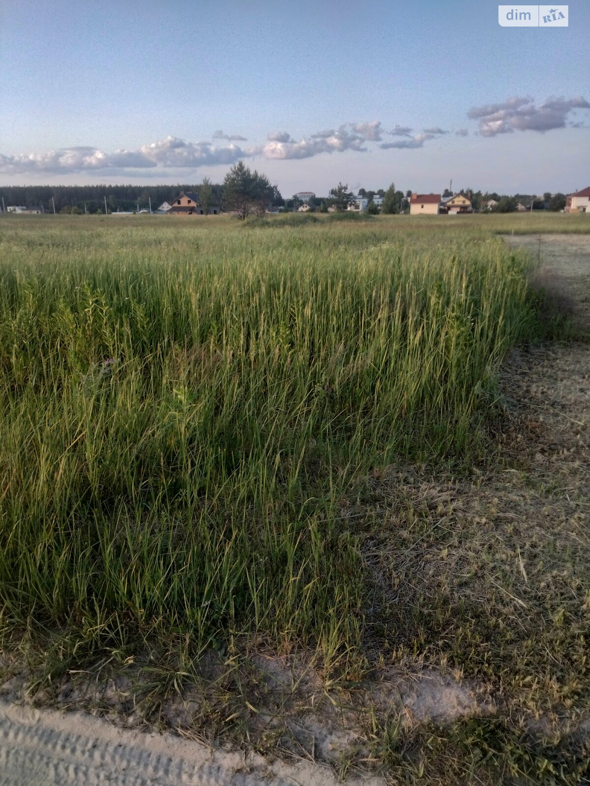 Земельна ділянка під житлову забудову в Старих Петрівцях, площа 7 соток фото 1 Земельна ділянка під житлову забудову в Старих Петрівцях, площа 7 соток фото 1