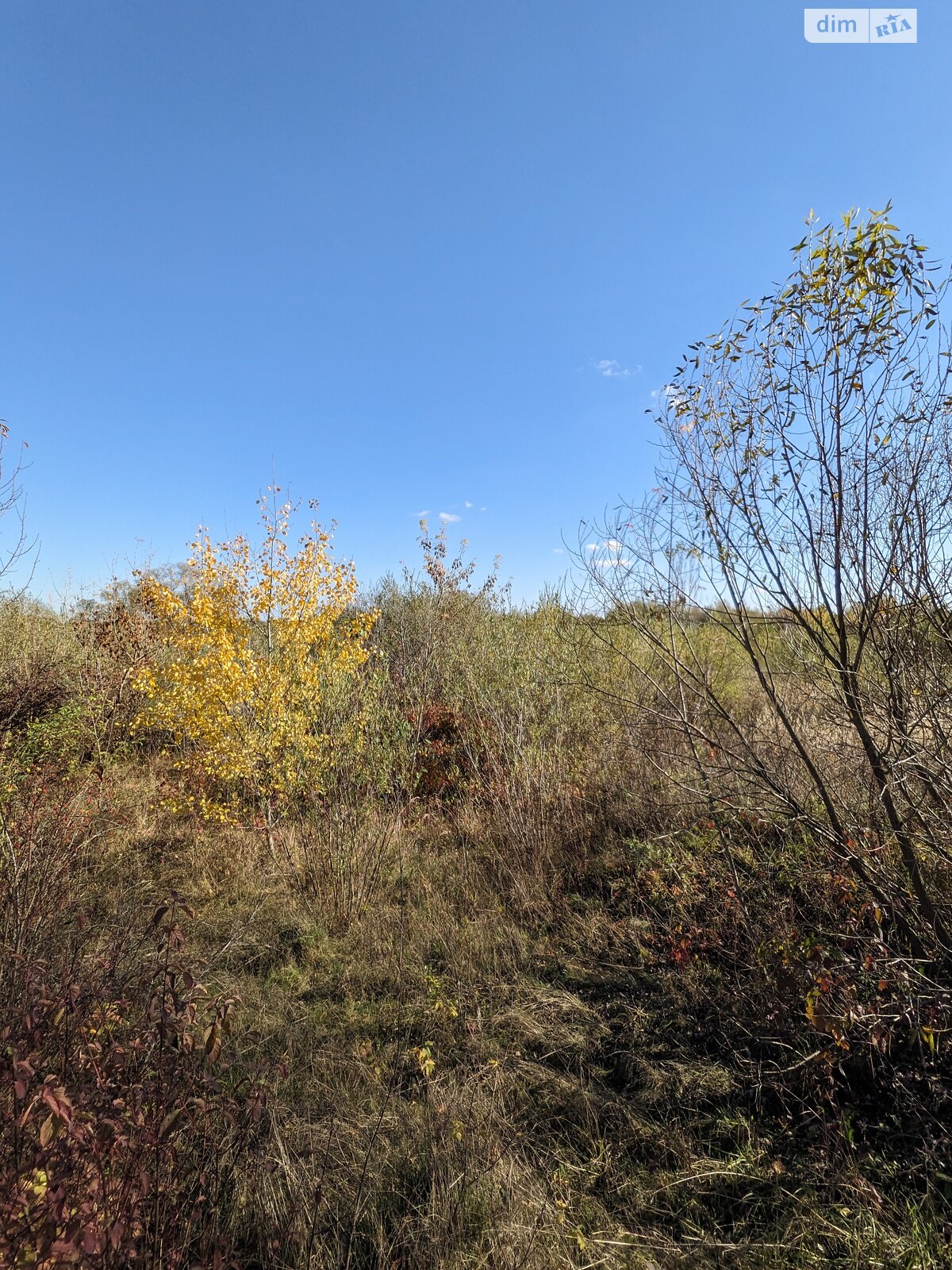 Земельный участок под жилую застройку в Старом Лисце, площадь 12 соток фото 1 Земельный участок под жилую застройку в Старом Лисце, площадь 12 соток фото 1