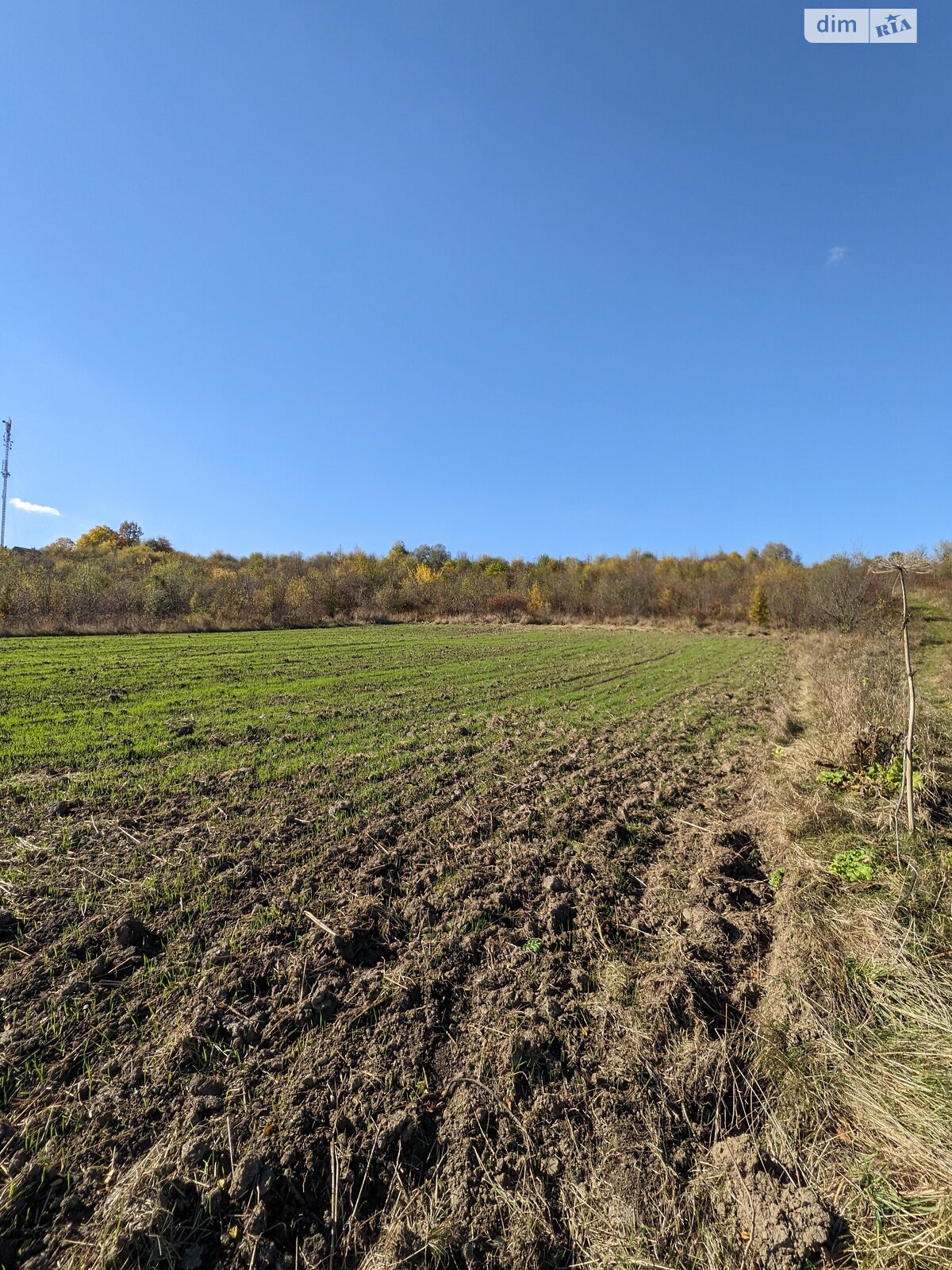 Земельна ділянка під житлову забудову в Старому Лисці, площа 14.68 сотки фото 1 Земельна ділянка під житлову забудову в Старому Лисці, площа 14.68 сотки фото 1