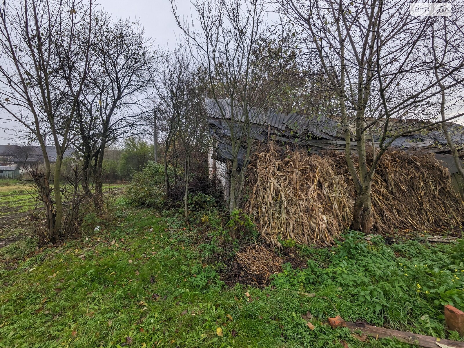 Земельна ділянка під житлову забудову в Старому Лисці, площа 17.07 сотки фото 1